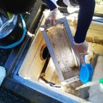 洗浄の様子です 洗浄の様子です